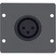 Kramer WA-1XLF(G) Faceplate Insert