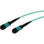 6M FIBER MTP/MTP F/F OM4 MMF   