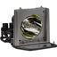 REPL LAMP ACER PD116P PD116PD  