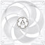 Arctic Cooling P12 PWM Cooling Fan - 1 Pack