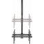 DUAL TV CEILING MOUNT HANGING  