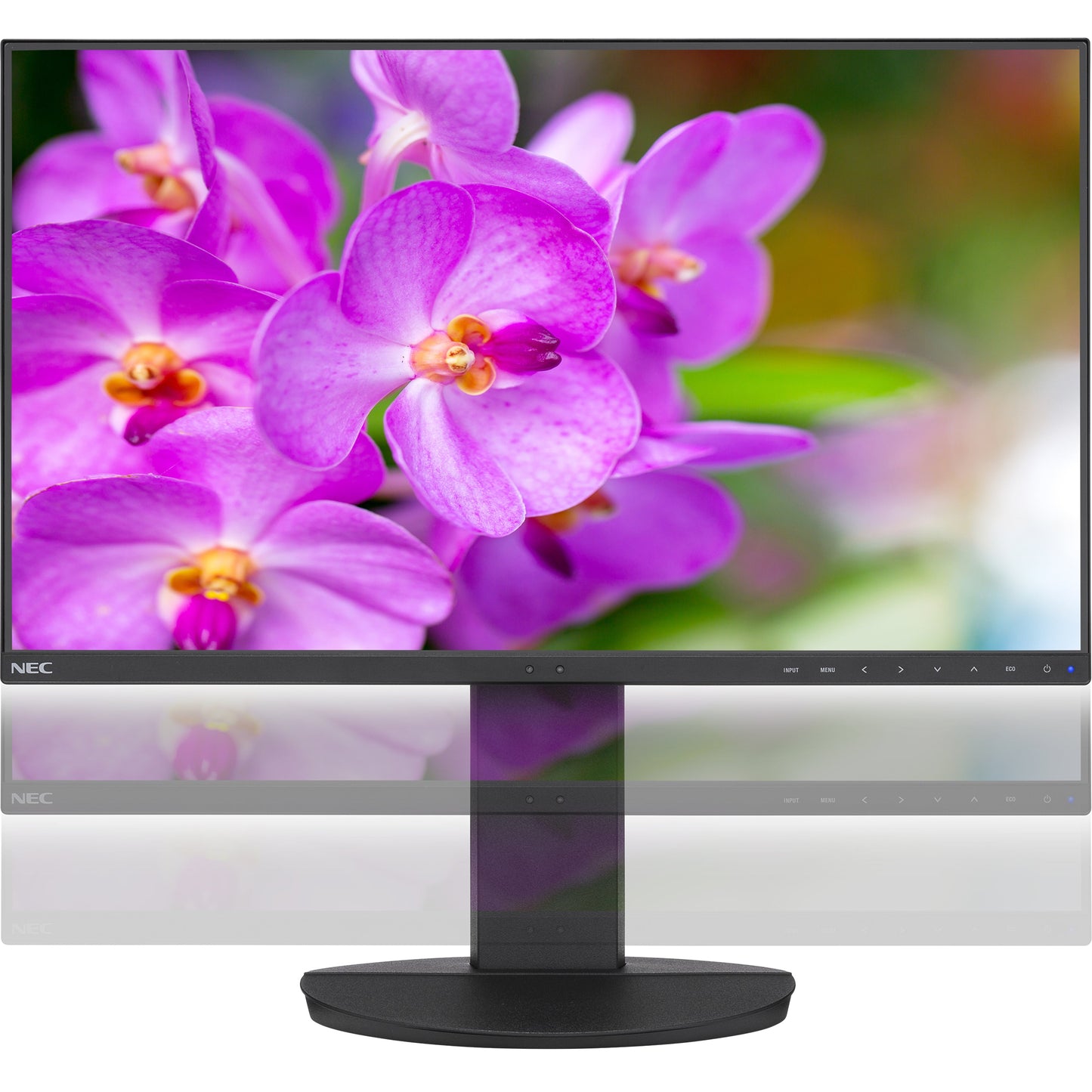 NEC Display MultiSync EA241F-BK 23.8" Full HD LCD Monitor - 16:9 - Black