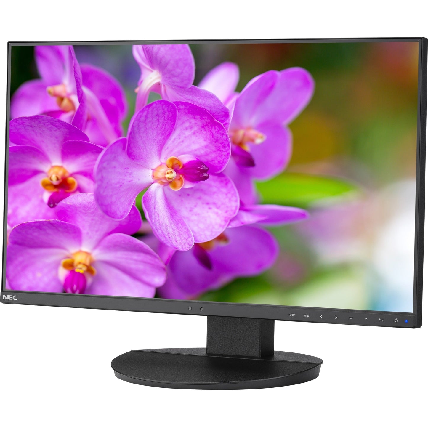 NEC Display MultiSync EA241F-BK 23.8" Full HD LCD Monitor - 16:9 - Black