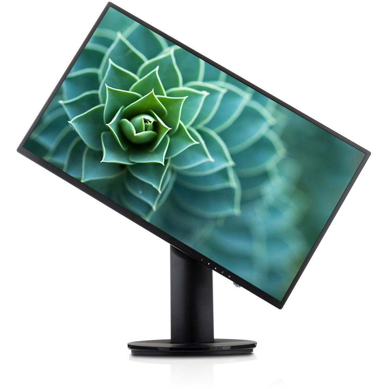 V7 L238DPH-2NH 23.8" Full HD LCD Monitor - 16:9