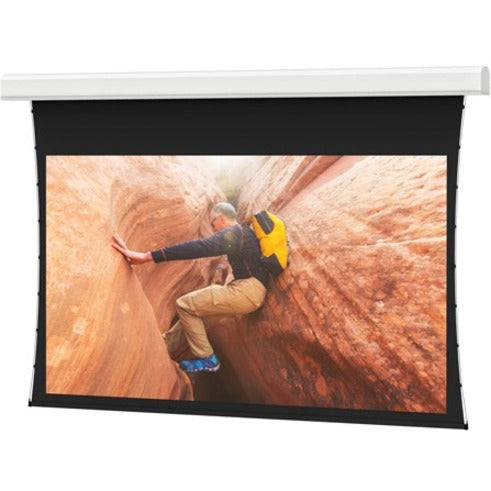 Da-Lite Tensioned Large Advantage Electrol 220" Electric Projection Screen