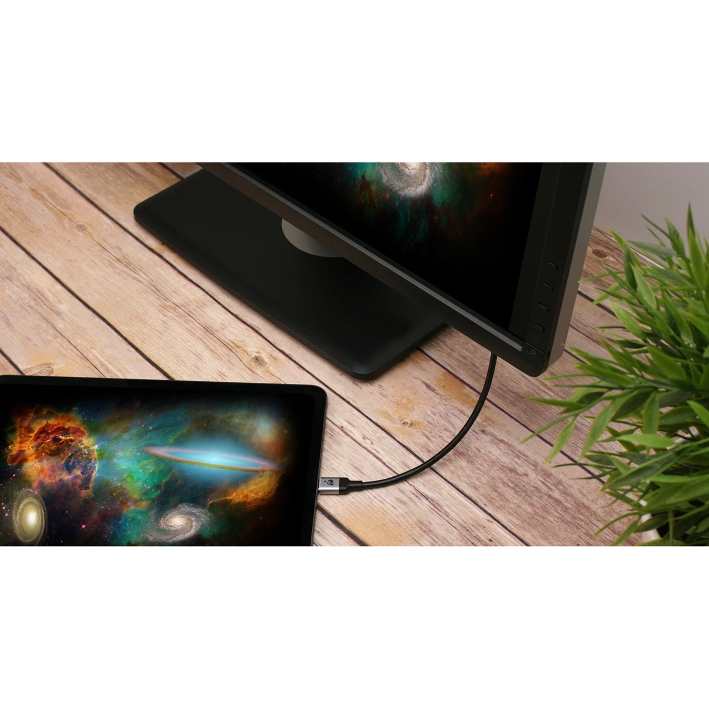 IOGEAR USB-C to DisplayPort 8K Cable 6.6 ft. (2m)