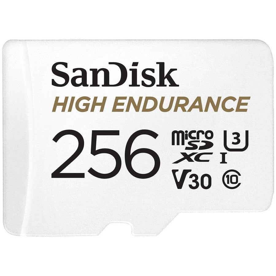 256GB HIGH ENDURANCE USD       