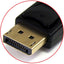 10IN BLACK DISPLAYPORT TO      