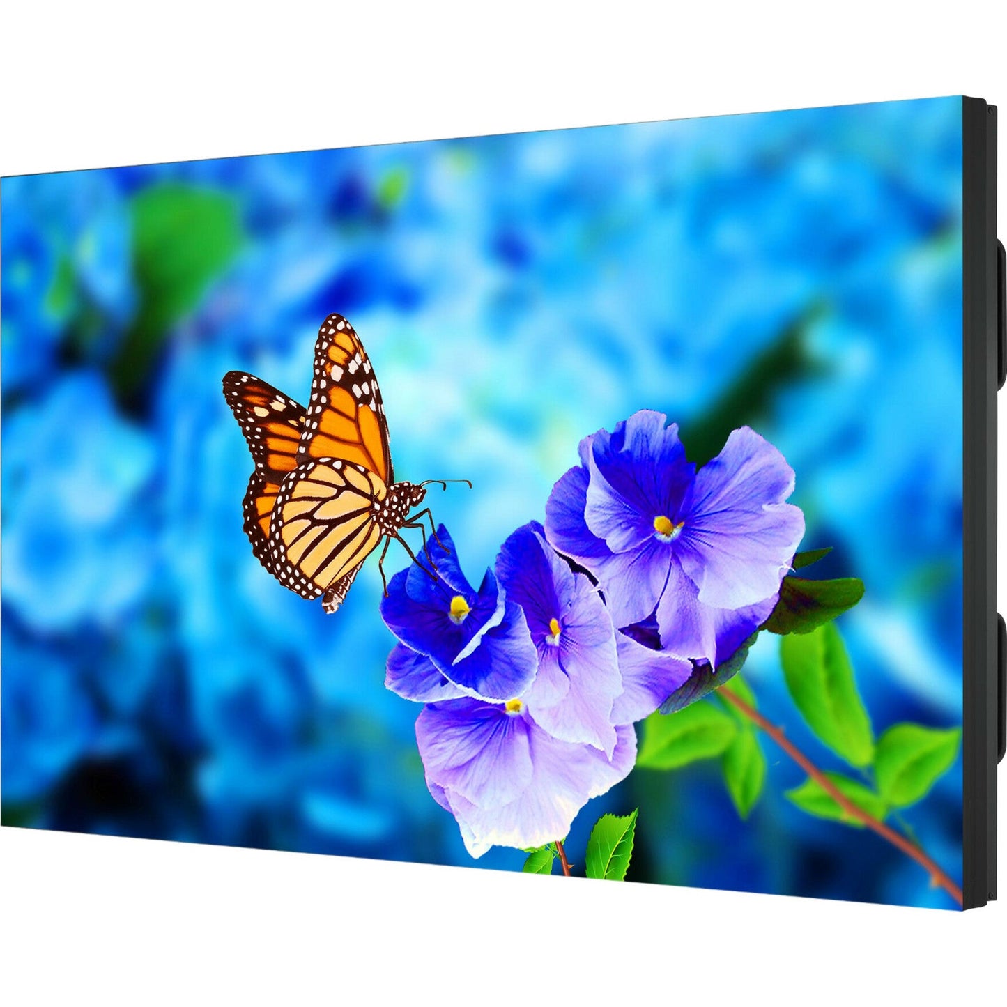 NEC Display 55" Ultra-Narrow Bezel Professional-Grade Display