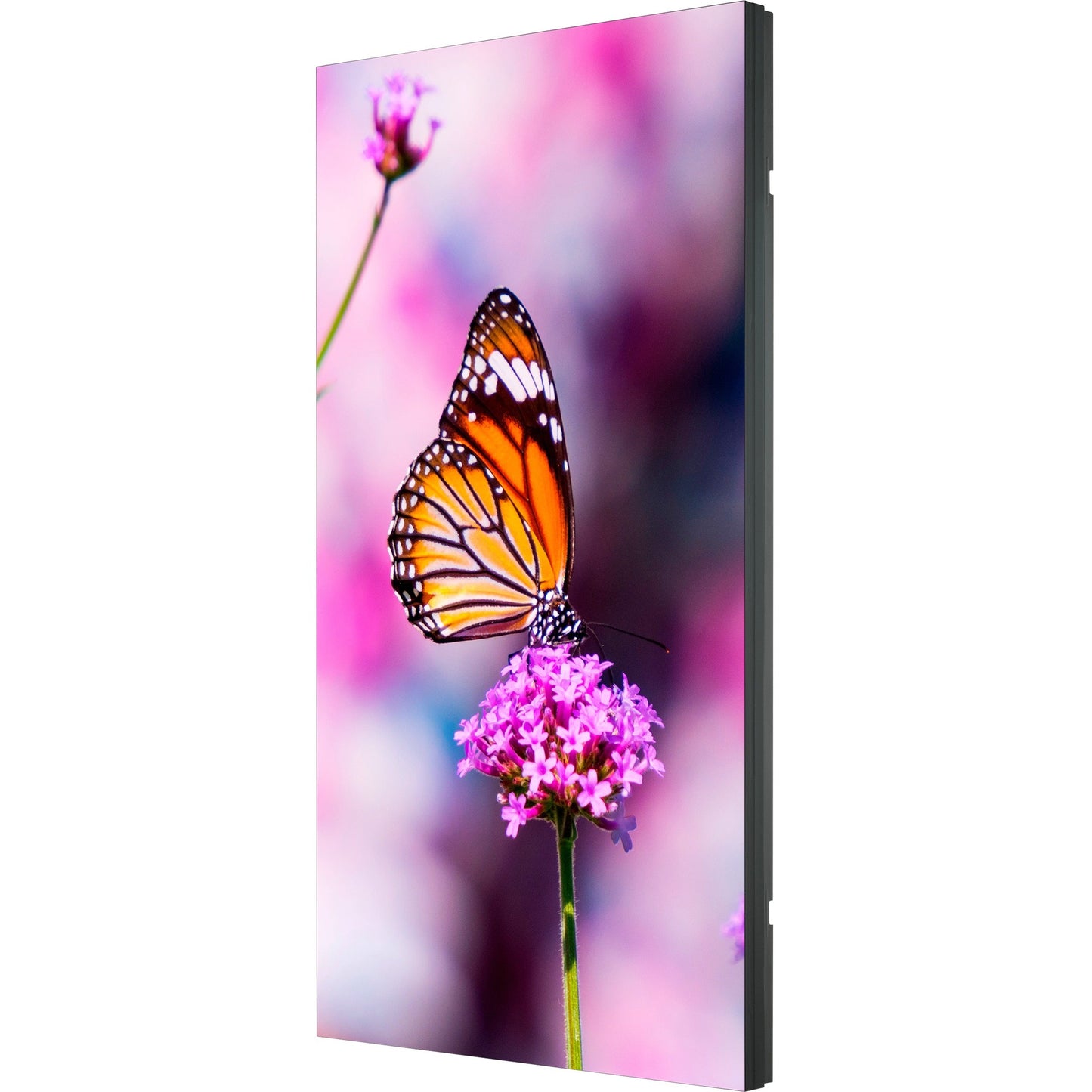 NEC Display 55" LED Backlit 0.88mm Ultra-Narrow Bezel 2x2 Video Wall Bundle