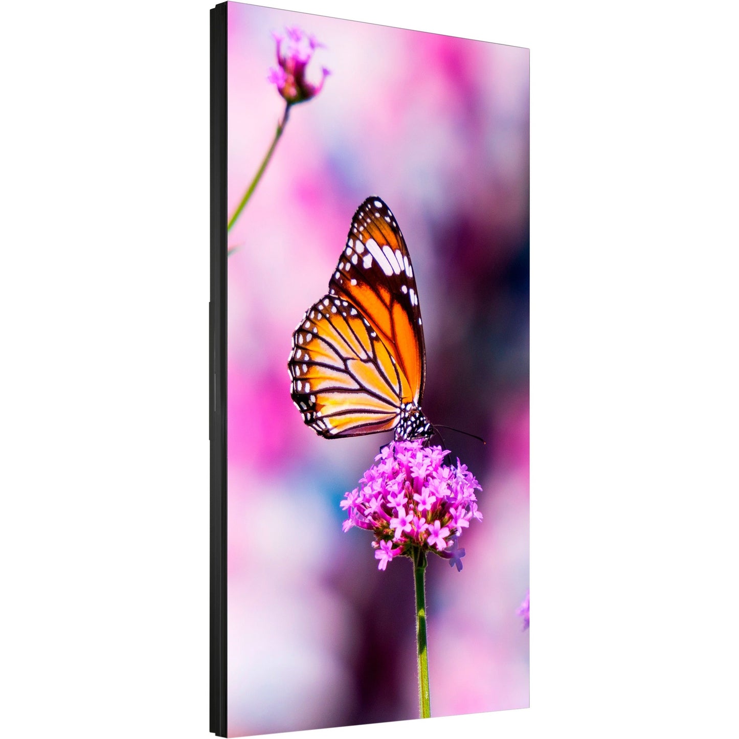 NEC Display 55" LED Backlit 0.88mm Ultra-Narrow Bezel 3x3 Video Wall Bundle