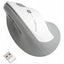 PRO FIT ERGO VERTICAL WRLS     