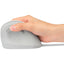 PRO FIT ERGO VERTICAL WRLS     