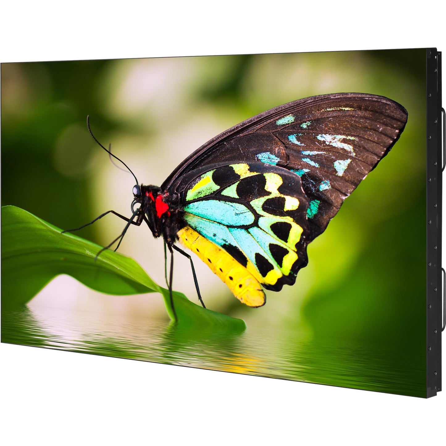 NEC Display 55" Ultra-Narrow Bezel Professional-Grade Display