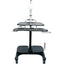 AIDATA SIT AND STAND MOBILE LCD