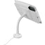 Compulocks Space Flex Counter/Wall Mount for iPad (7th Generation) - White