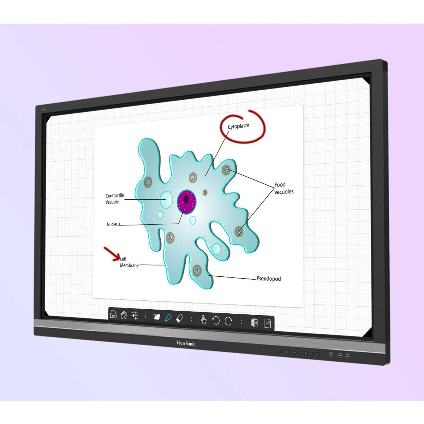 ViewSonic ViewBoard IFP7550-C2 - 4K Interactive Display WiFi Adapter Mobile Trolley Cart Chromebox - 350 cd/m2 - 75"