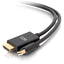 10FT DISPLAYPORT TO HDMI       