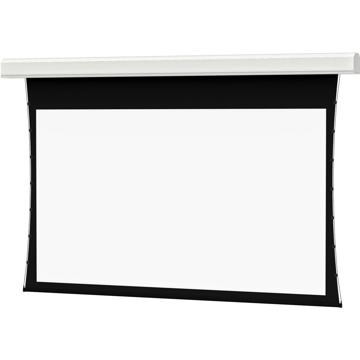 Da-Lite Tensioned Large Advantage Deluxe Electrol 247" Electric Projection Screen