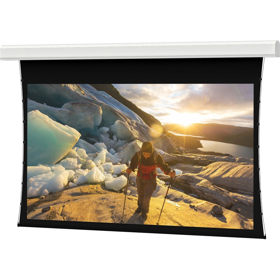 Da-Lite Tensioned Large Advantage Deluxe Electrol 226" Electric Projection Screen