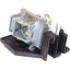 OPTOMA PROJECTOR LAMP FOR      