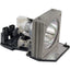 OPTOMA PROJECTOR LAMP FOR      
