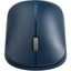 BLUE SURETRACK MOUSE DUAL WRLS 