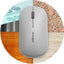 GRAY SURETRACK MOUSE DUAL WRLS 