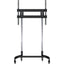 LARGER FORMAT MOBLE CART       