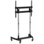 LARGER FORMAT MOBLE CART       