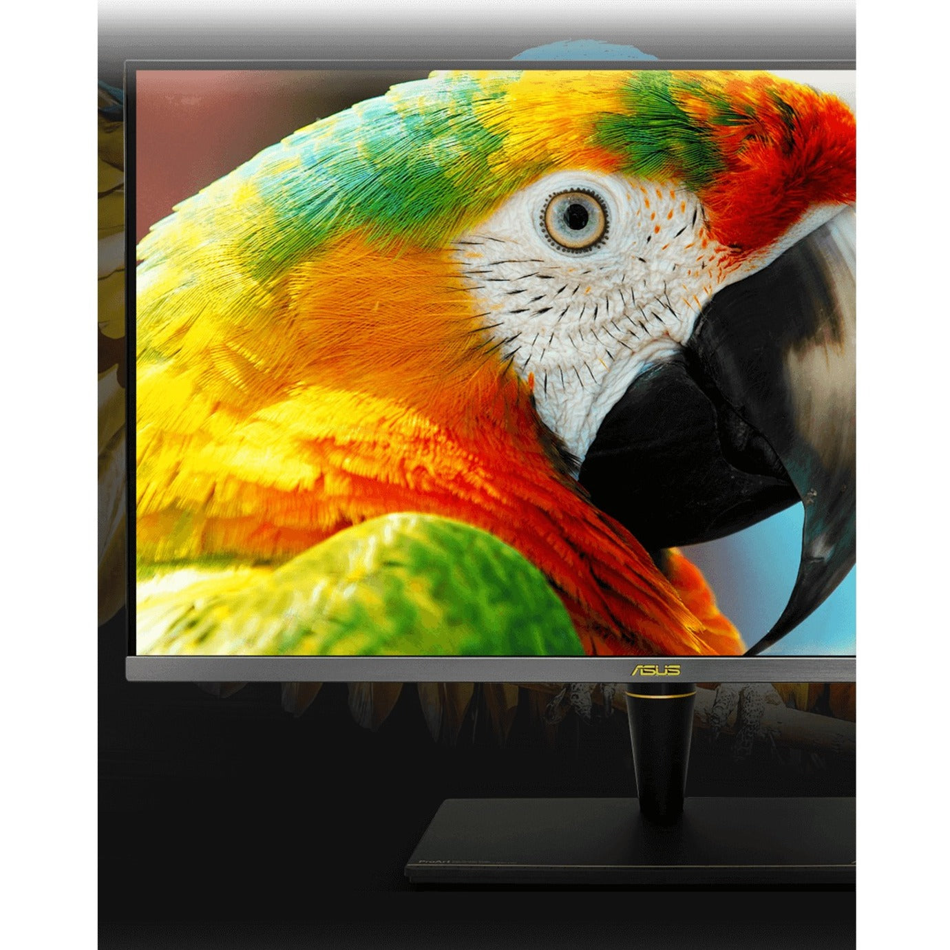 Asus ProArt PA32UCX-PK 32" 4K UHD LCD Monitor - 16:9 - Black