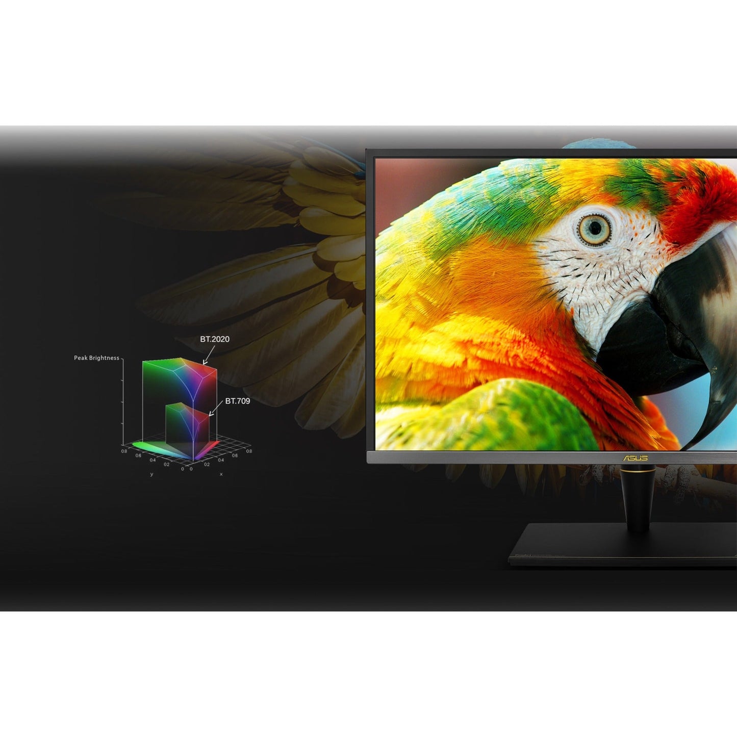 Asus ProArt PA27UCX-K 27" 4K UHD LCD Monitor - 16:9 - Black