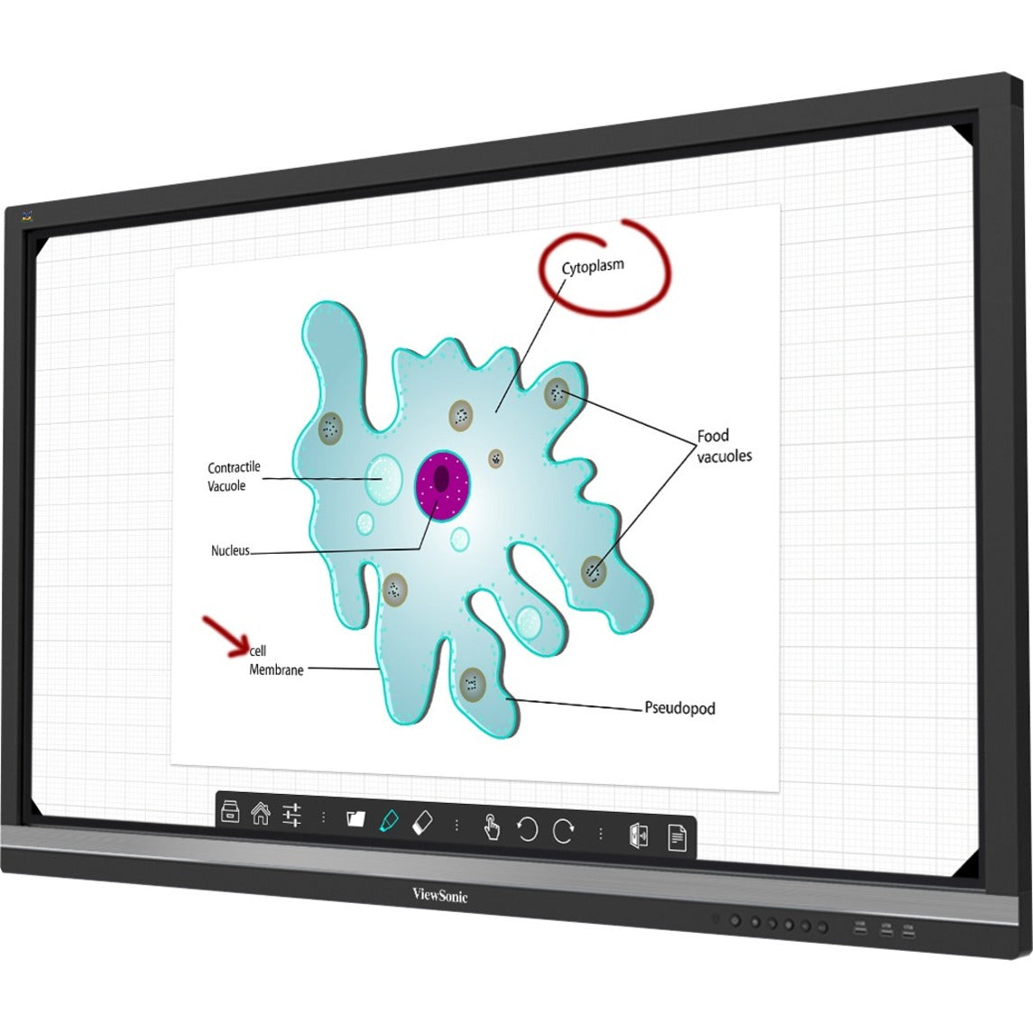 ViewSonic IFP7550-C4 - 75" ViewBoard Interactive Flat Panel Bundle with Chromebox