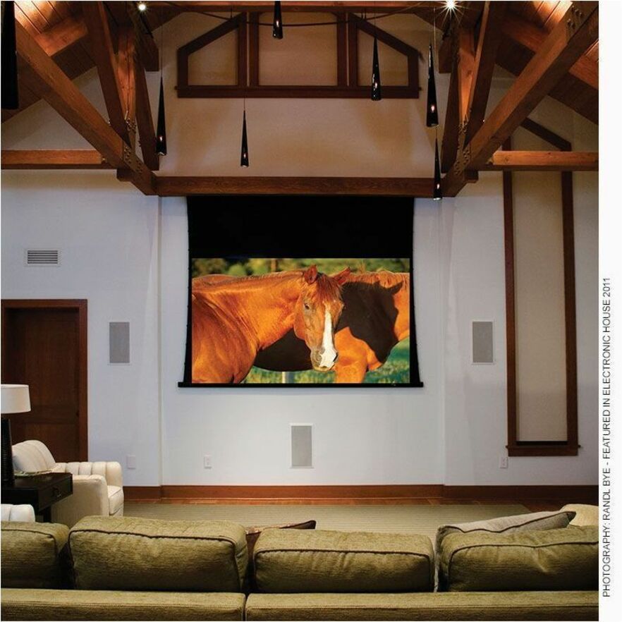 Draper Access V 123" Electric Projection Screen