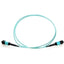 0.5M FIBER MPO/MPO F/F MMF     