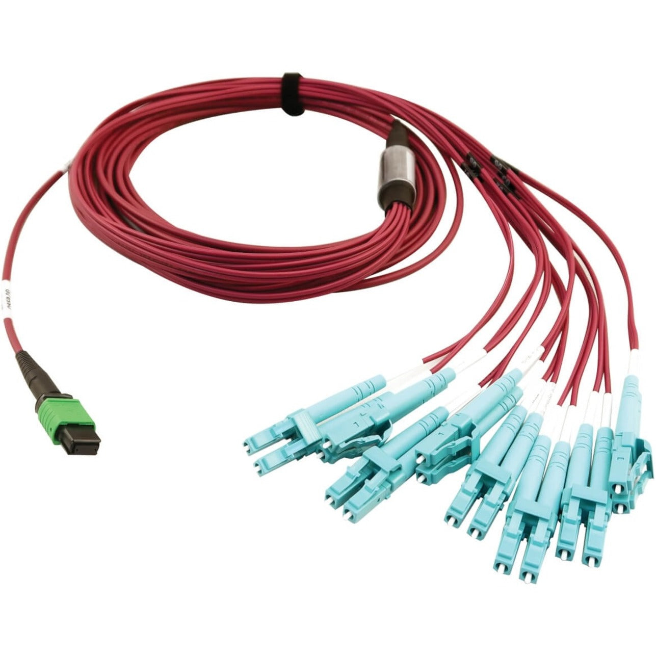 Tripp Lite 400G Multimode 50/125 OM4 Plenum Fiber Optic Breakout Cable 16F MTP/MPO-APC to (x4) LC Duplex (F/M) Magenta 5 m