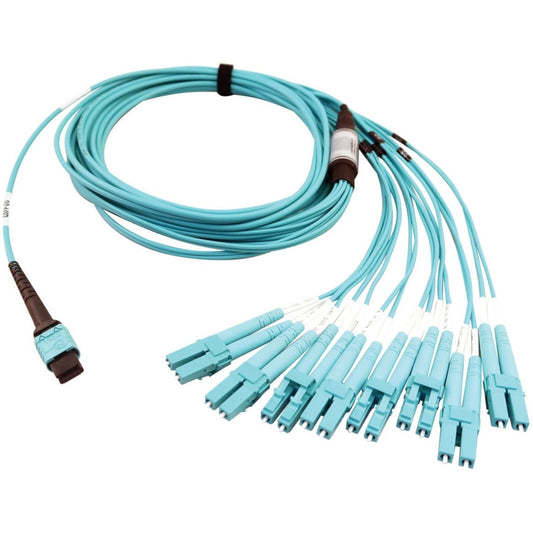 Tripp Lite 400G Multimode 50/125 OM4 Plenum Fiber Optic Breakout Cable 24F MTP/MPO-PC to (x4) LC Duplex (F/M) Aqua 5 m