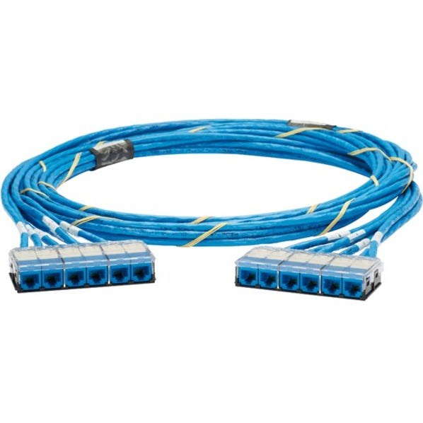 Panduit Category 6 UTP Riser Blue Cable With Blue Cassette to Blue Cassette
