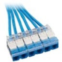 Panduit Category 6 UTP Riser Blue Cable with Blue Cassette to Blue Cassette