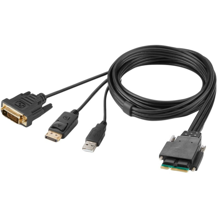 Belkin Modular DVI and DP Dual Head Host Cable 6 Feet