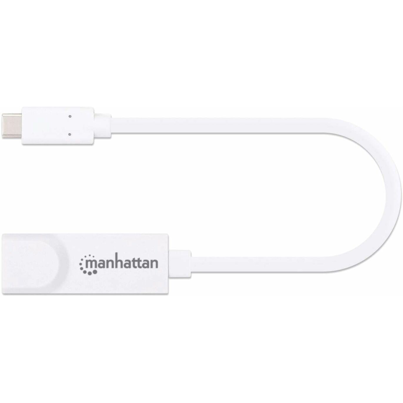 Manhattan Type-C to Gigabit Network Adapter