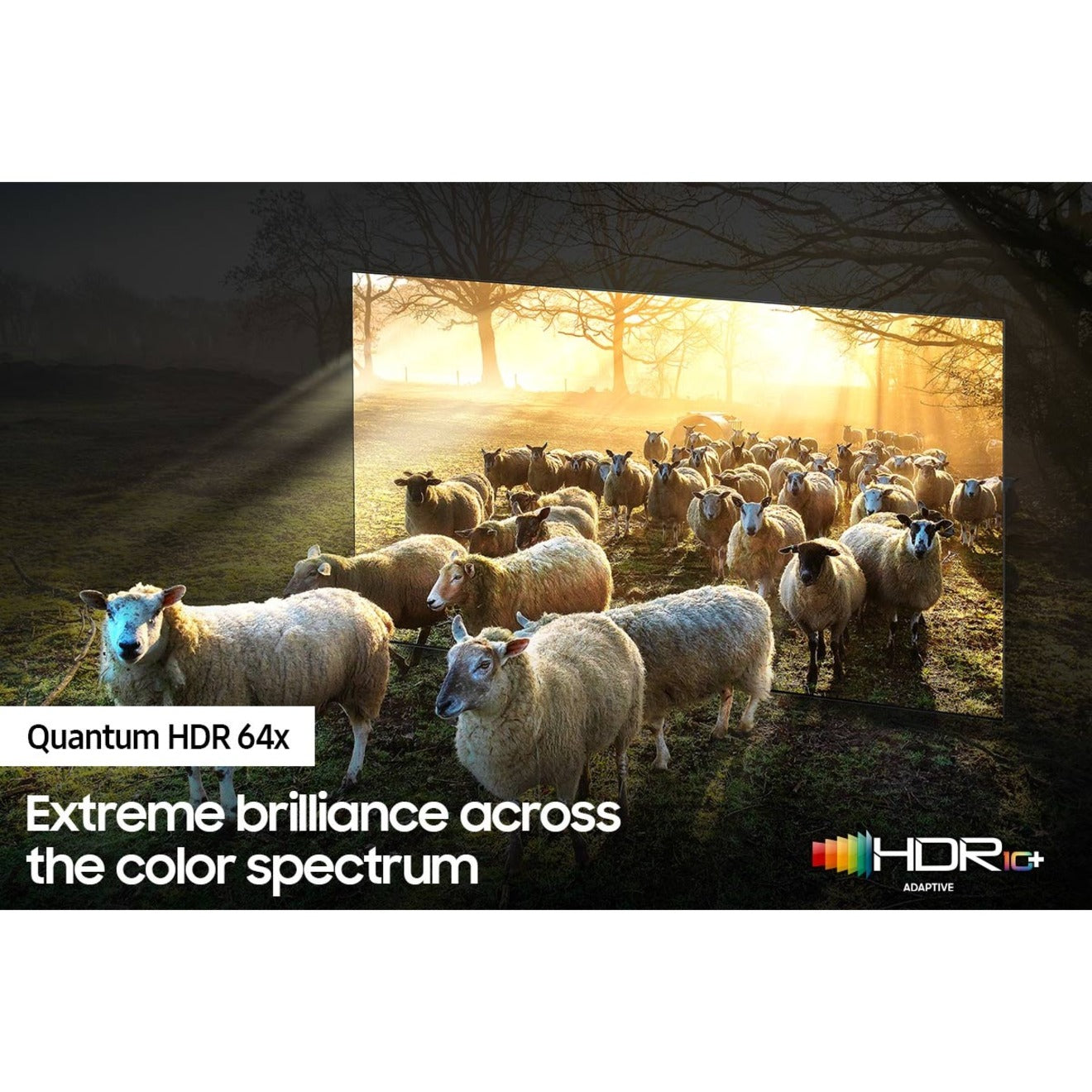 Samsung | 75" | QN900A | Neo QLED 8K | Smart TV | QN75QN900AFXZA | 2021