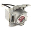 PROJECTOR REPLACEMENT LAMP     