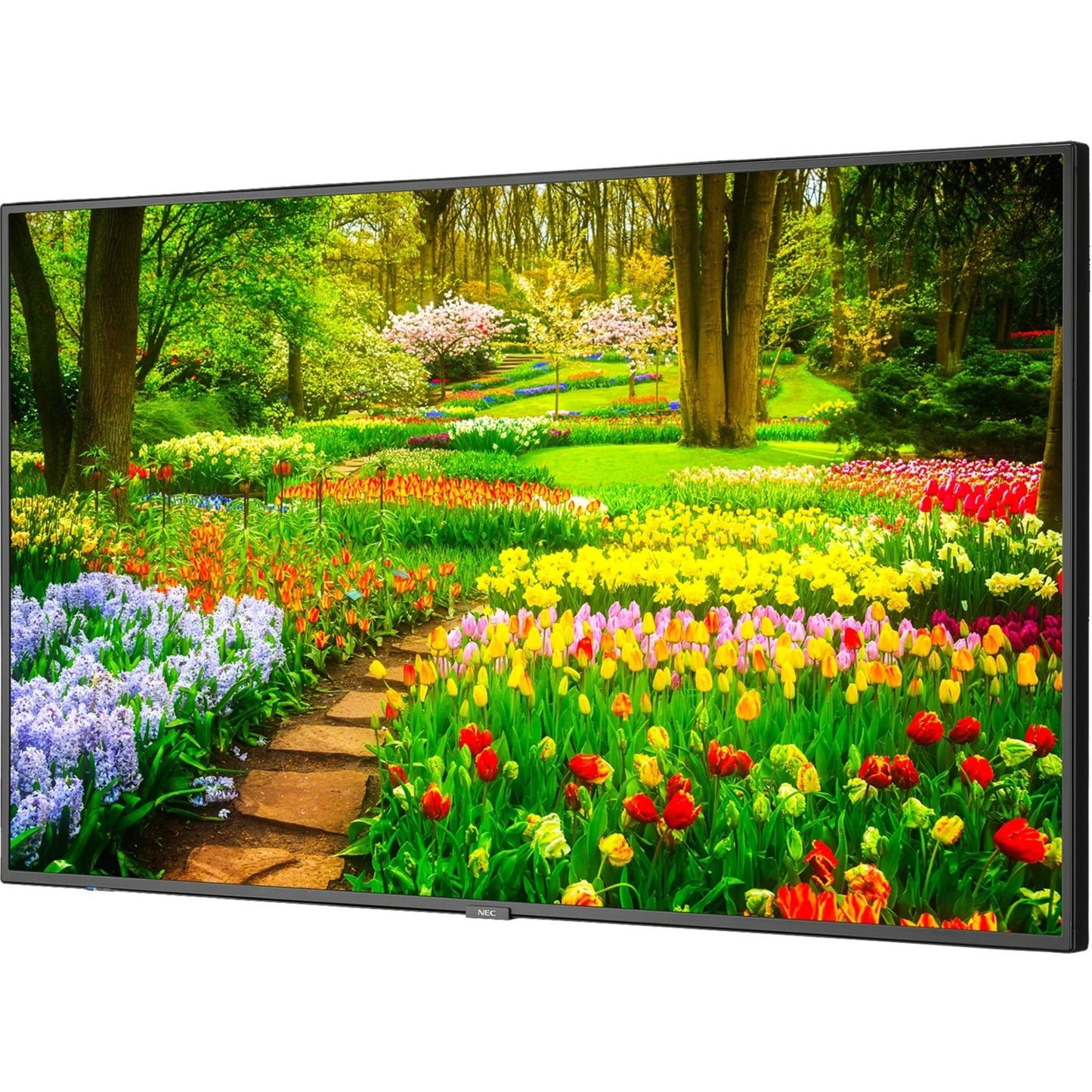 NEC Display 49" Ultra High Definition Professional Display with Integrated ATSC/NTSC Tuner