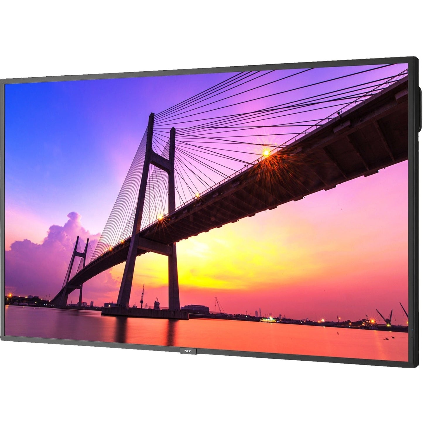 NEC Display 50" Ultra High Definition Commercial Display with Integrated ATSC/NTSC Tuner