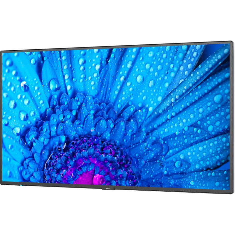 MULTISYNC M431-43 LED LCD      