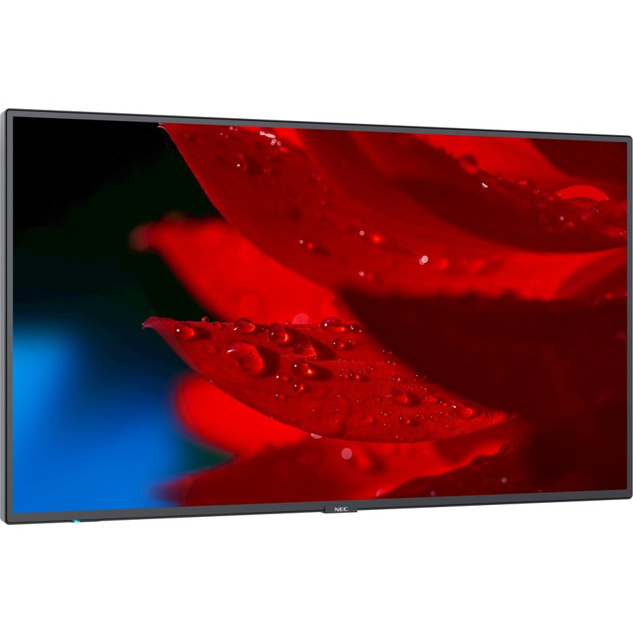 MULTISYNC MA431-43 LED LCD     