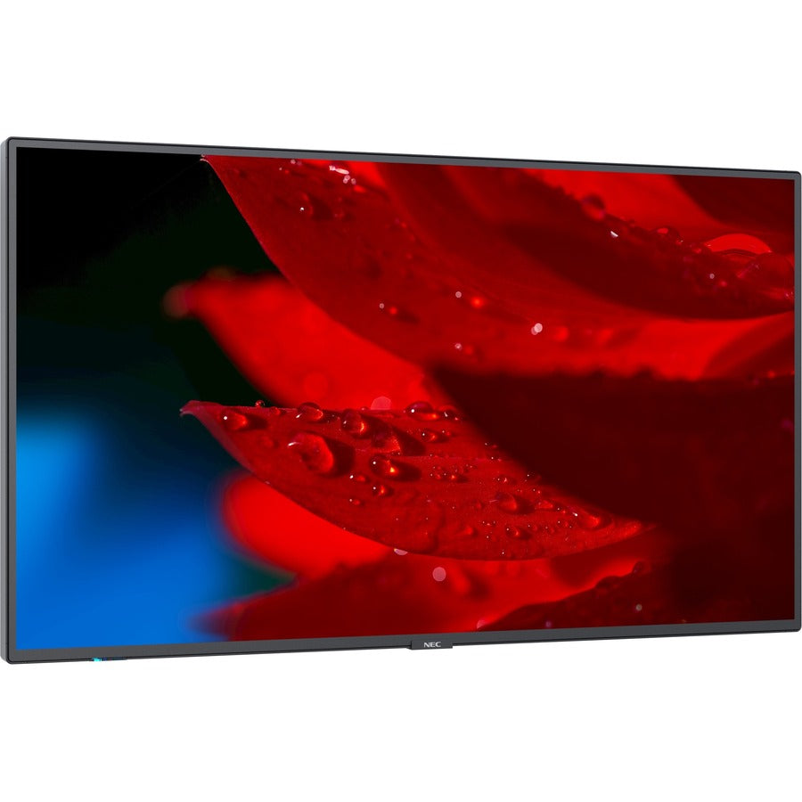 MULTISYNC MA491-49 LED LCD     