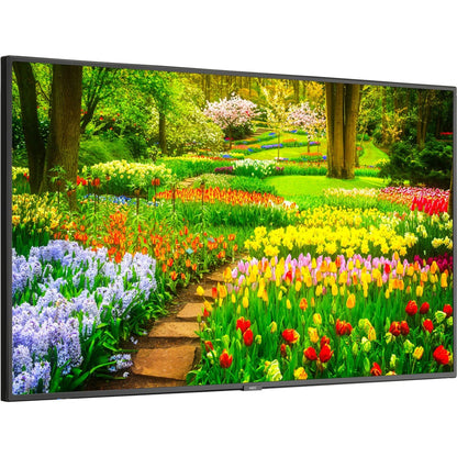 NEC Display 49" Ultra High Definition Professional Display