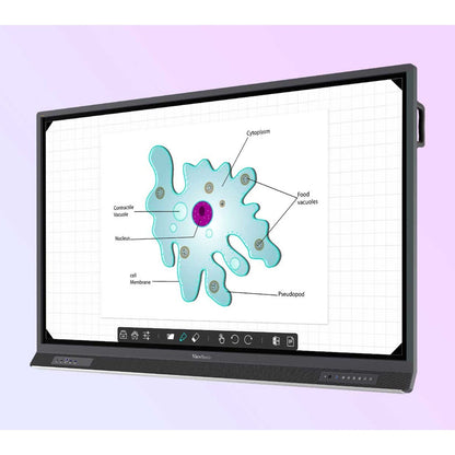 ViewSonic ViewBoard IFP6552-E1 - 4K Interactive Display with WiFi Adapter and Fixed Wall Mount - 400 cd/m2 - 65"